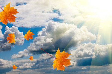 Similar image 233975