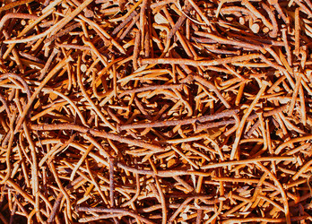 Similar image 233976