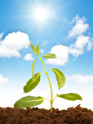 Similar image 233986