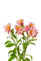 Similar image 233992