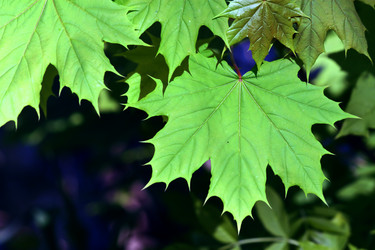 Similar image 234056