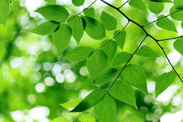 Similar image 234058