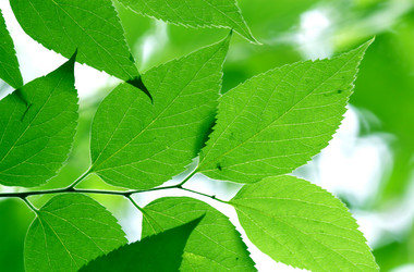 Similar image 234061