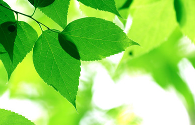 Similar image 234063