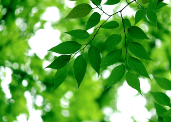 Similar image 234064