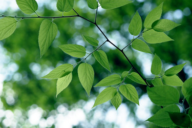 Similar image 234065