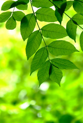 Similar image 234066