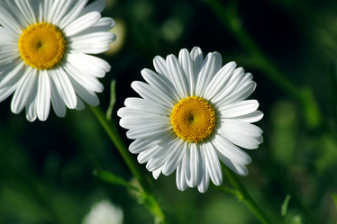 Similar image 234070