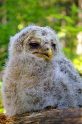 Similar image 234092