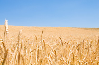 Similar image 234097