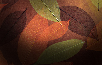 Similar image 234114