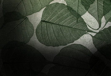 Similar image 234116