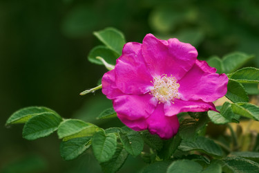 Similar image 234124