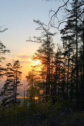 Similar image 234129