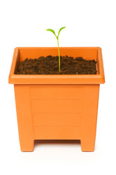 Similar image 234133