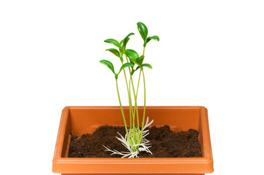 Similar image 234134