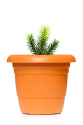 Similar image 234136