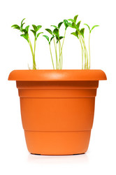 Similar image 234137