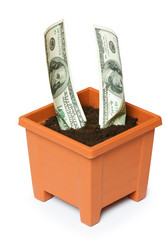 Similar image 234138