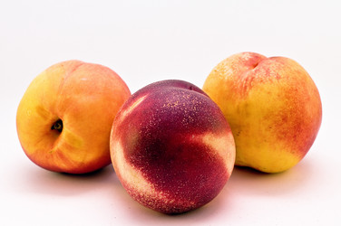 Similar image 234160