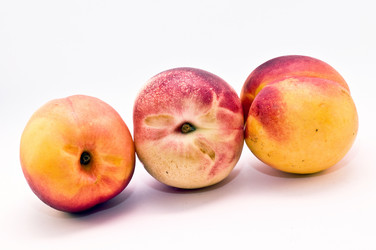 Similar image 234161