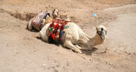 Similar image 234187