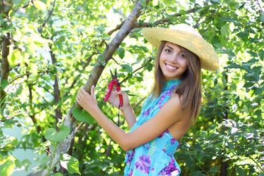 Similar image 234222