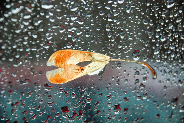 Similar image 234285