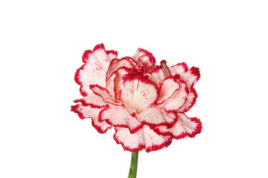 Similar image 234288