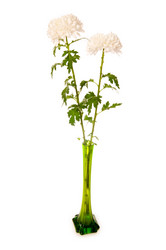 Similar image 234289