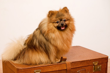 Similar image 234315