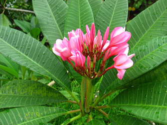 Similar image 234320