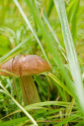 Similar image 234324