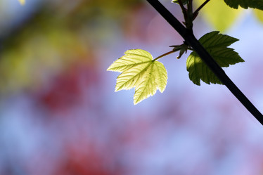 Similar image 234353