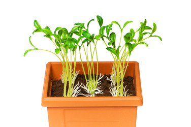 Similar image 234366