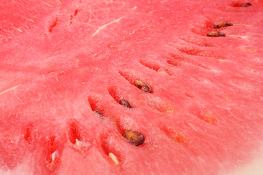 Similar image 234395