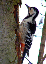 Similar image 234399