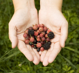 Similar image 234410