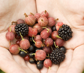 Similar image 234411