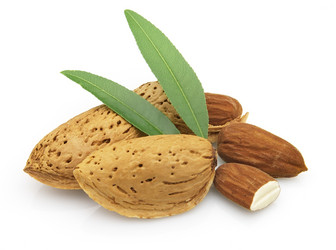 Similar image 234415