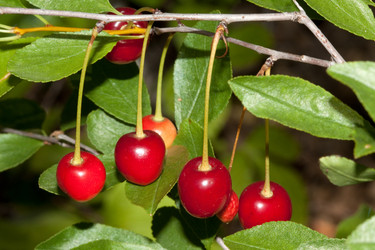 Similar image 234420