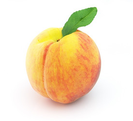 Similar image 234446