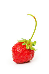 Similar image 234506