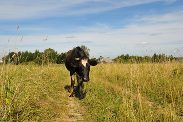 Similar image 234519