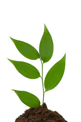 Similar image 234541