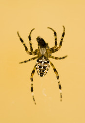 Similar image 234564