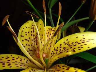 Similar image 234570