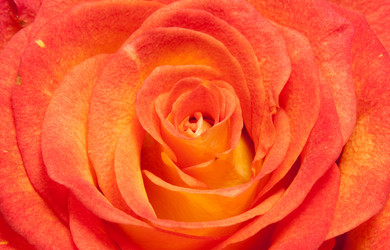 Similar image 234577