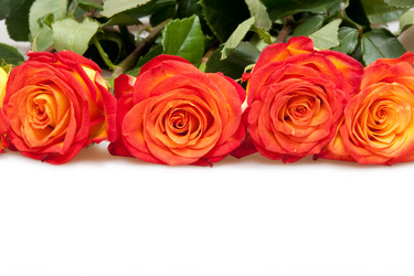 Similar image 234579