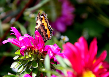 Similar image 234589